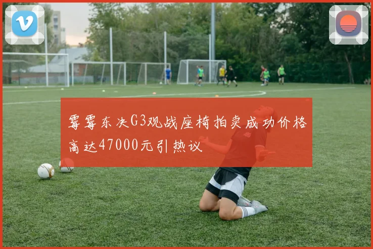 霉霉东决G3观战座椅拍卖成功价格高达47000元引热议